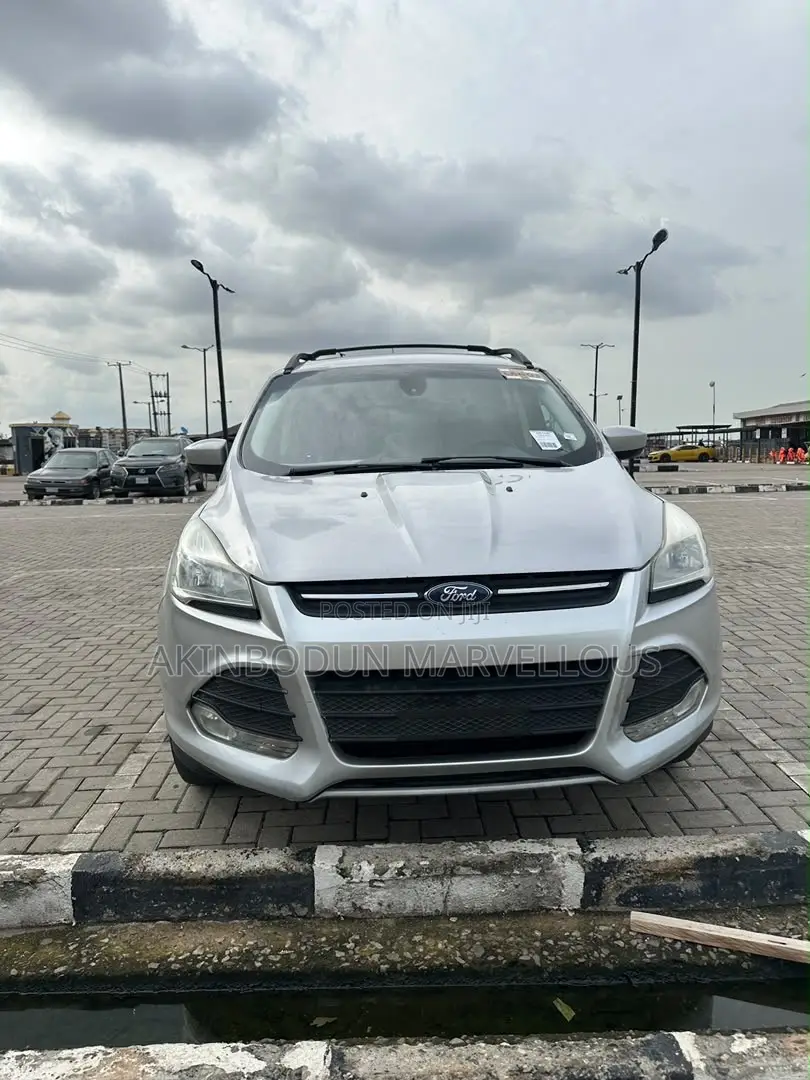 Ford Escape SE 2013 Gray