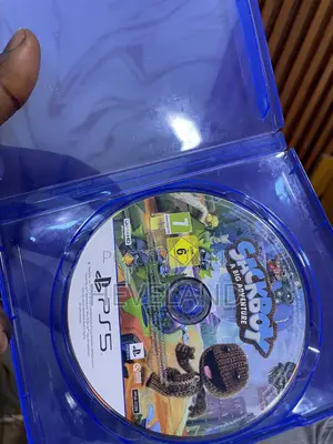 Clean Sackboy - A Big Adventure