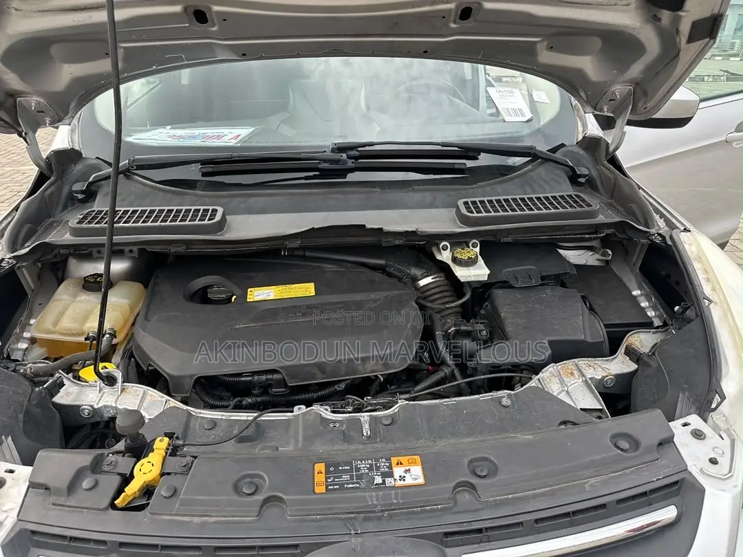Ford Escape SE 2013 Gray