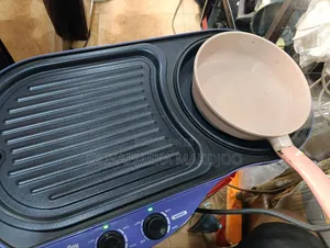 2 in 1 Electric Grill and Hotplate