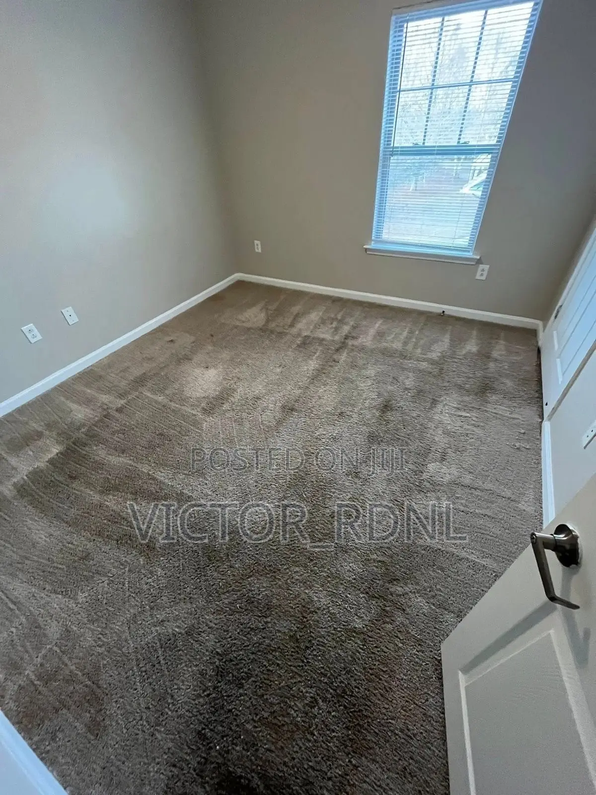 Tough Wall to Wall Rug for Floor