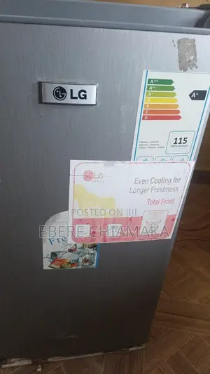 LG 100 Liter Fridge