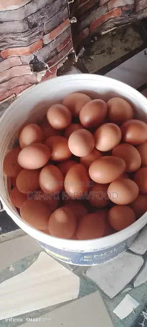 Fresh Farm Eggs