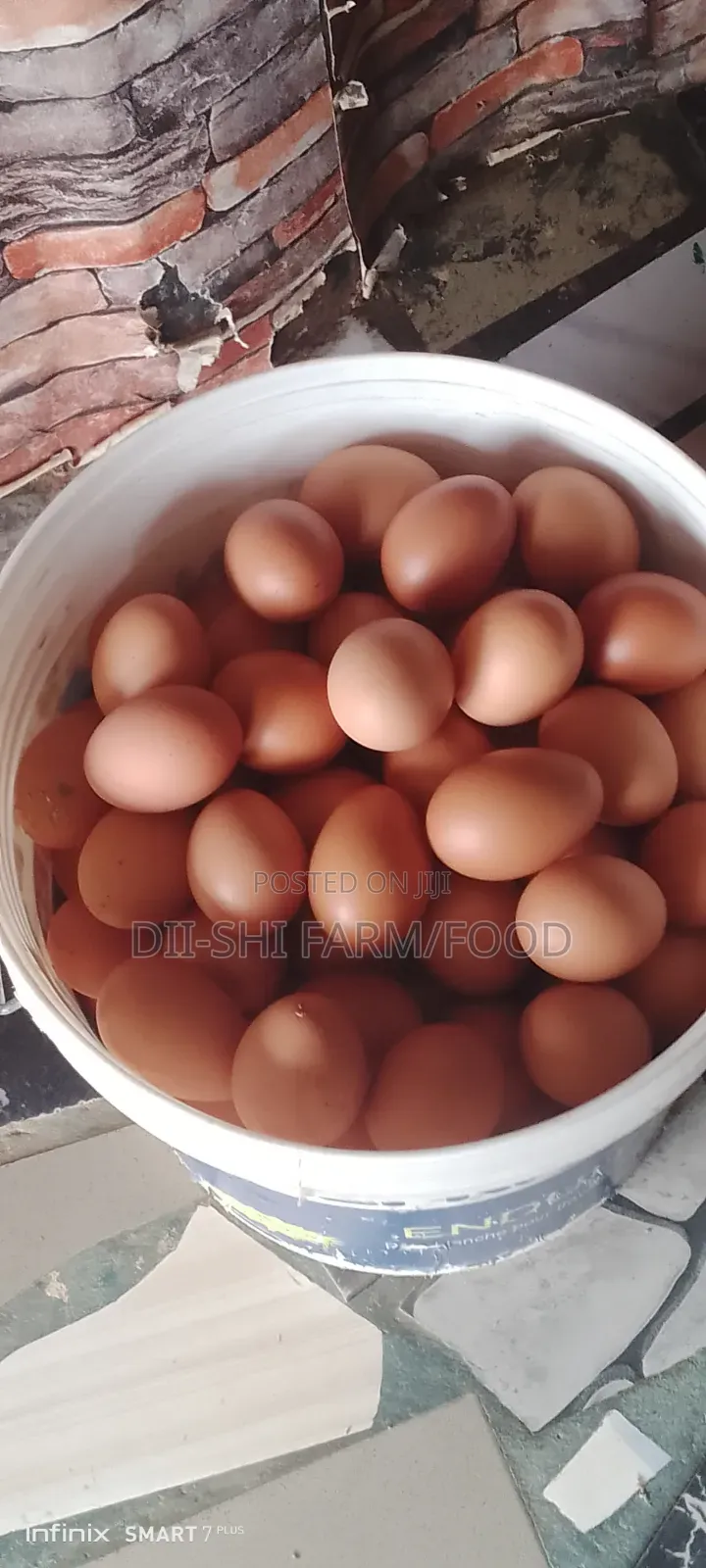 Fresh Farm Eggs