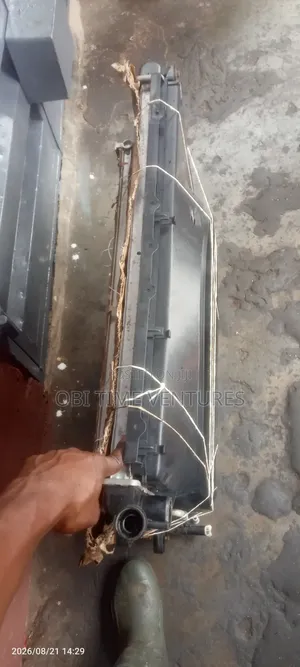 Lexus Gs 460 Radiator and Colt