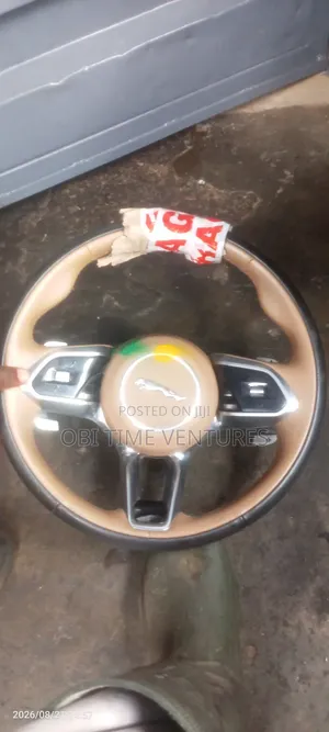 Jaguar 2018 Steering Wheel and Airbag