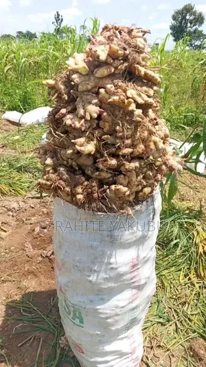Ezrahite Farm