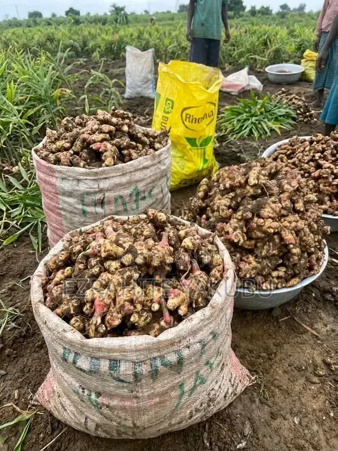 Ezrahite Farm