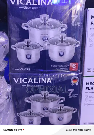 Stainless Steel Pot