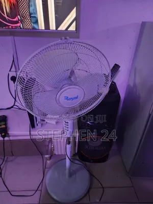 Royal Standing Fan