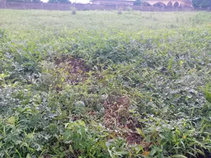 4 Hectare of Farmland for Sale in Kuje District. Abuja - Nigeria
