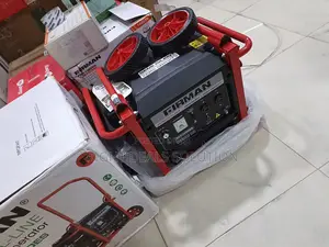 Firman ECO3990ES Long Runtime Generator