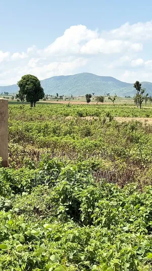 Sale of Land in Chikuku
