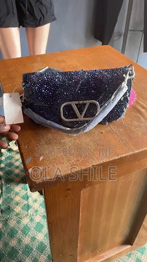 Ladies Hand Bag