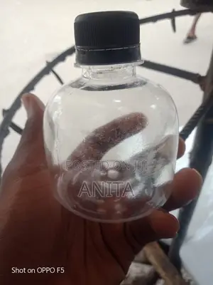 Anita Plastic Containers