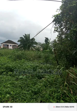 Well Fenced (13) Plot's of Land