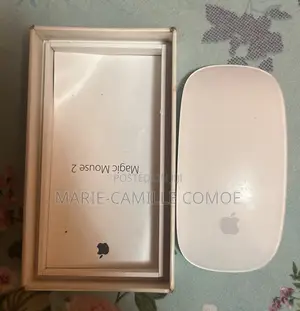 Magic Mouse 2 (Apple)