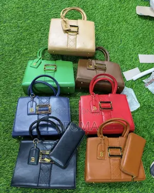 Women’s Elegant Carry Handbag