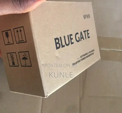 Bluegate 12v/9ah Battery
