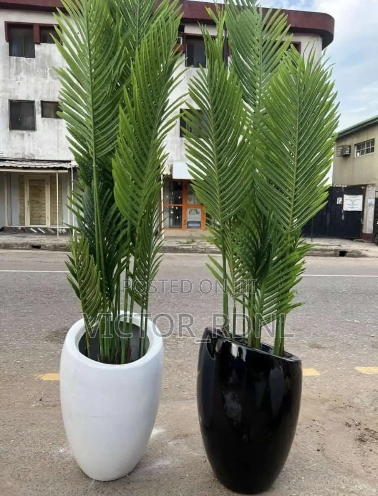 Quality Flower Pots