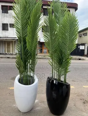 Quality Flower Pots