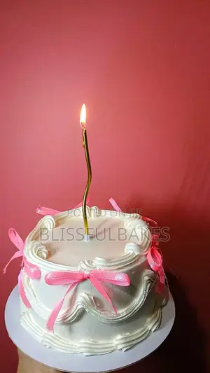 Bento Cake