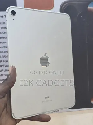 Apple iPad 10.2 (2020) 256 GB Gray