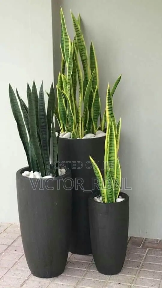 Bamboo Flower Pot