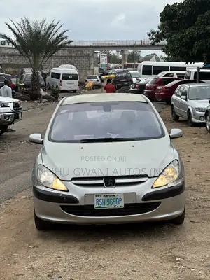 Peugeot 307 2004 Silver