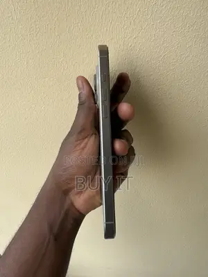 Apple iPhone 16 Pro Max 256 GB Silver