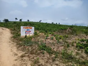 Farm Land for Sale