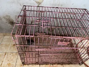 Puppy or Dog Cage