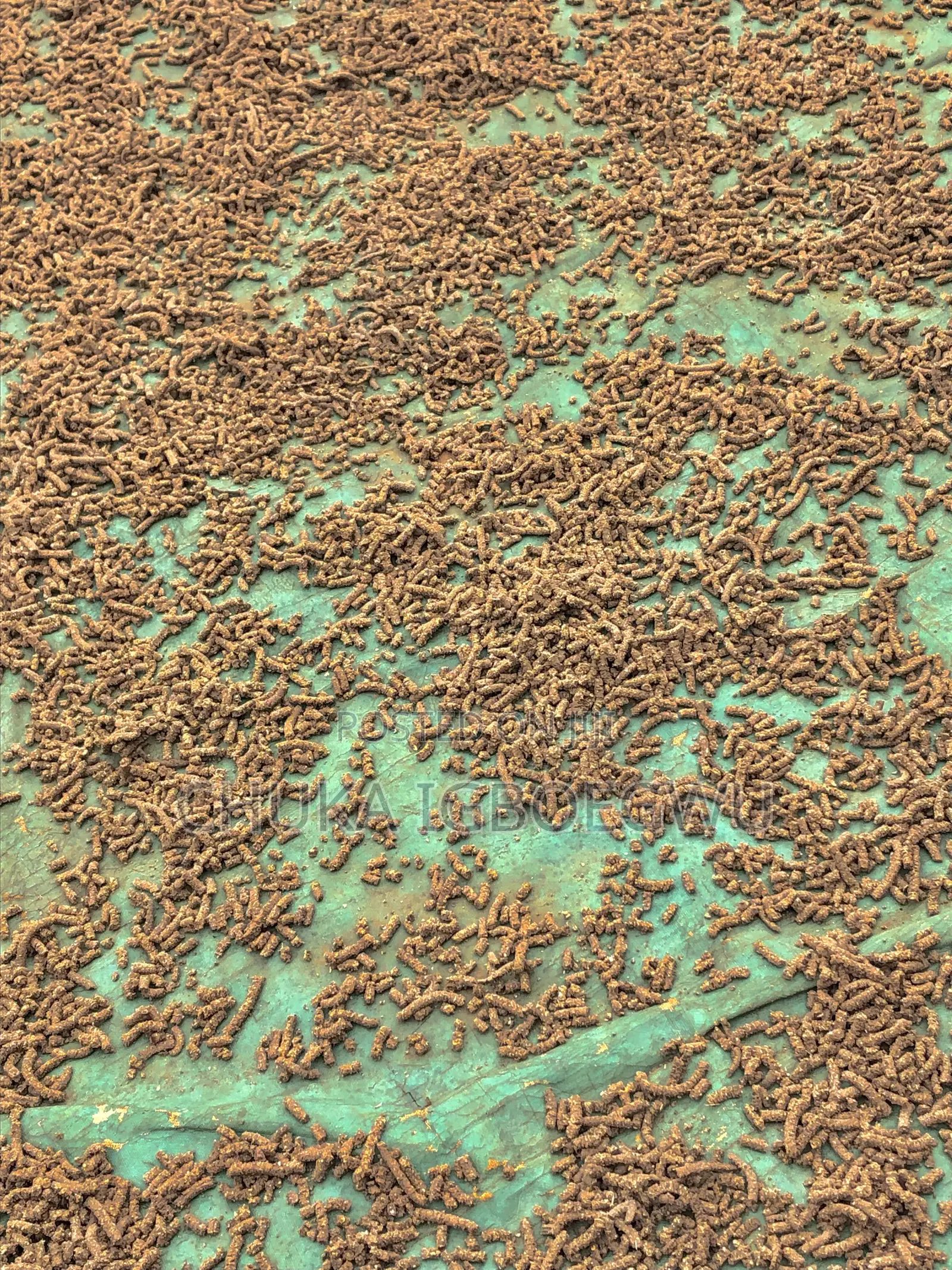 Local Sinking Pellets