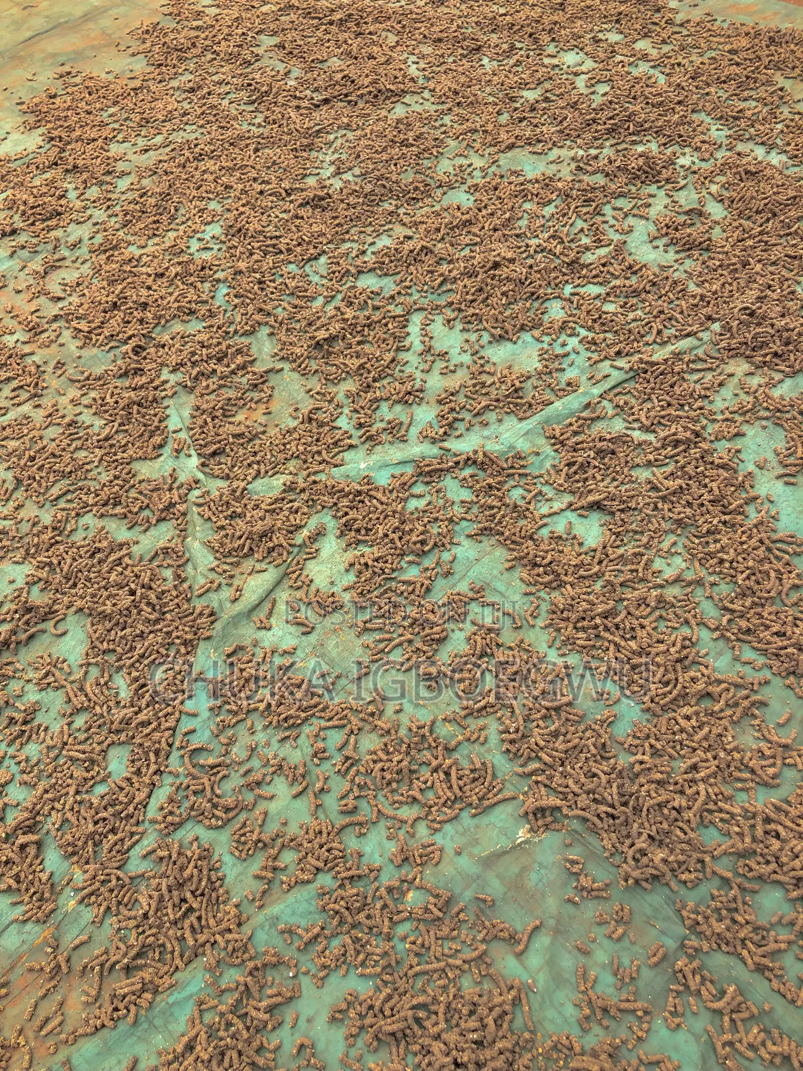 Local Sinking Pellets