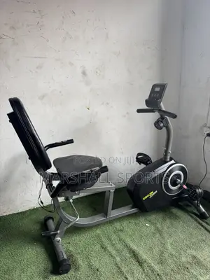 Recumbent Bike (Black)