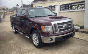 Ford F-150 FX4 2010 Burgundy