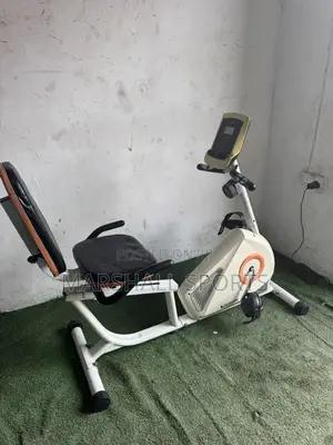 Recumbent Bike (White)