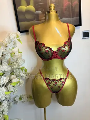 Women’s Sexy 2 Piece Bra and Panty Lingerie Set