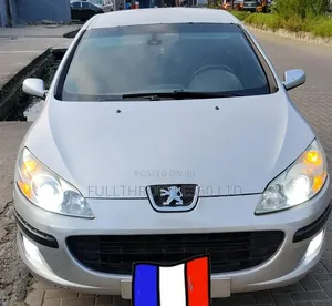 Peugeot 407 2.0 Esplanade 2007 Silver