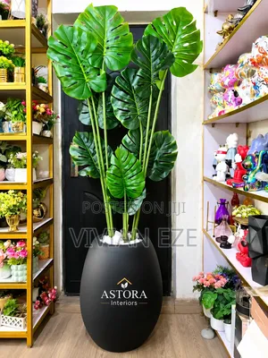 Interior Decor