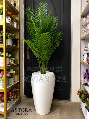 Interior Decor