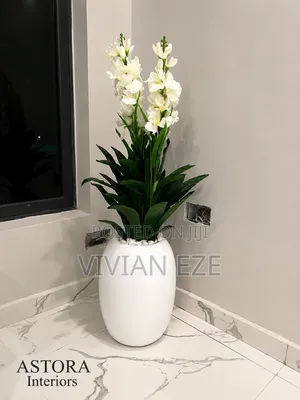 Interior Decor