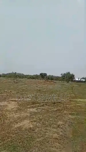100.99 Hectares for Sale at Wasa