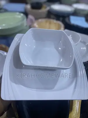 Unbreakable Plate and Bowl