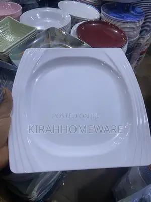 Unbreakable Plate and Bowl