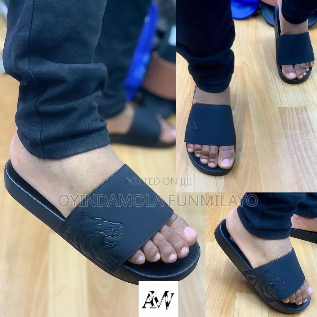 Carton Slides