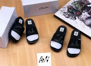Carton Slides