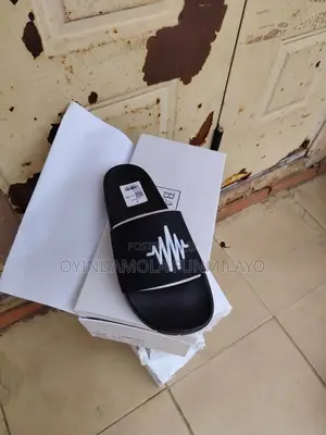 Carton Slides