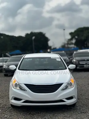 Hyundai Sonata 2010 White