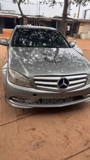 Mercedes-Benz C300 2010 Gray